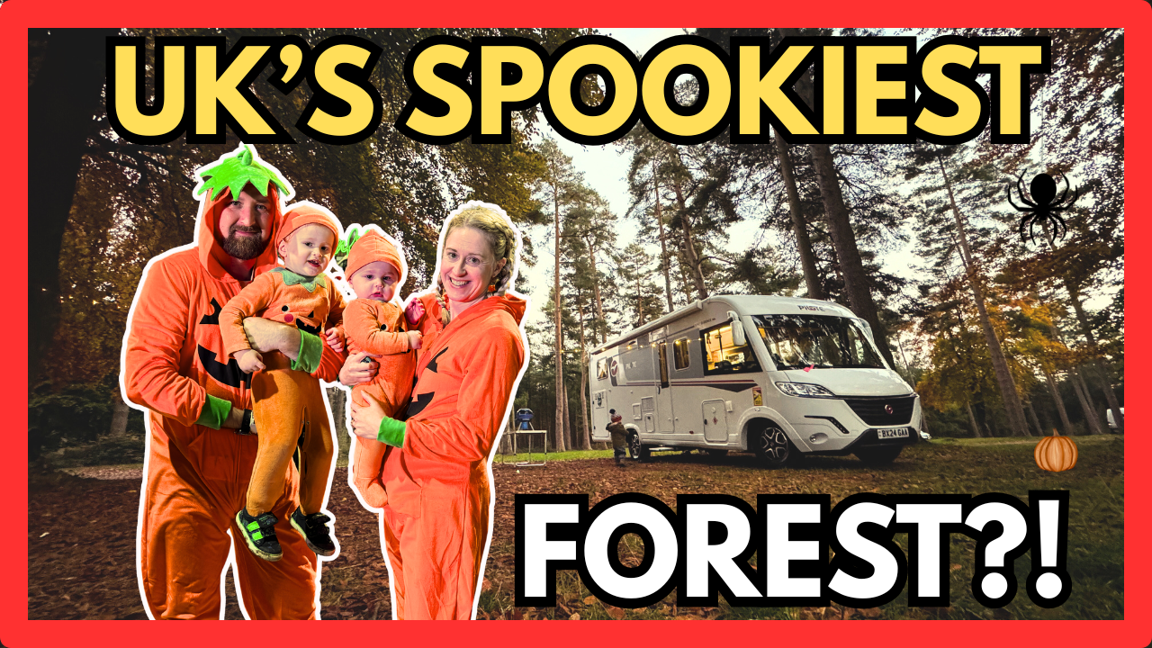 Cosy Forest Vanlife: Stormy Nights at Cannock Chase